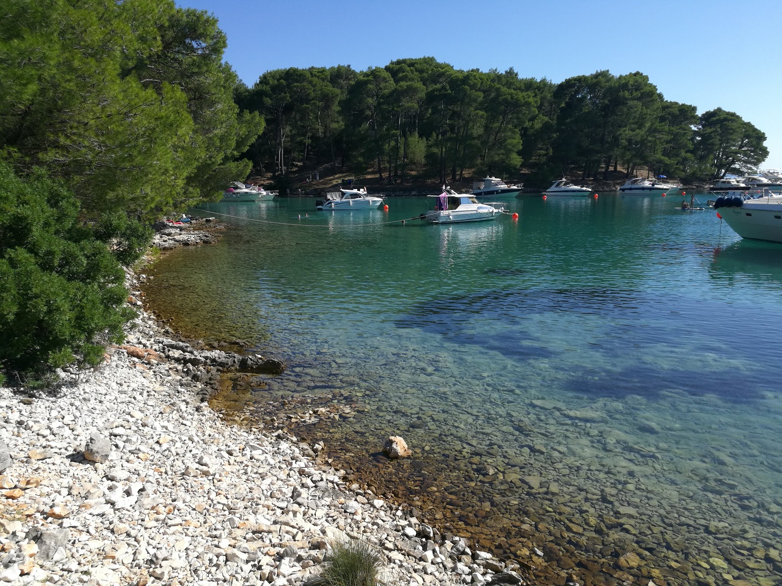 Foto di Krivica beach con una superficie del acqua cristallina