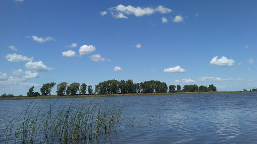 Sporting Goods Store «Delta Windsurf Co», reviews and photos, 3729 W Sherman Island Rd, Rio Vista, CA 94571, USA