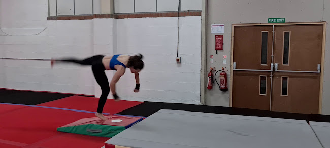 Comments and reviews of Adult Gymnastics London: Over Gravity Gymnastics