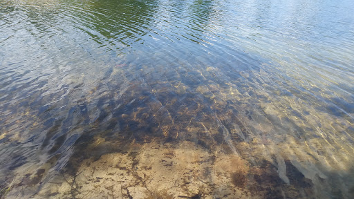 Rock Climbing Gym «Philadelphia Rock Gym - Coatesville», reviews and photos, 255 Mt Airy Rd, Coatesville, PA 19320, USA