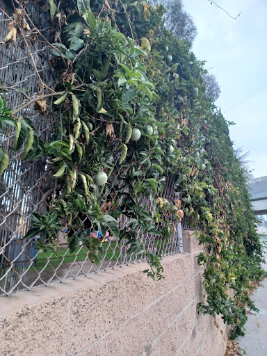 Self-Storage Facility «SoCal Self Storage», reviews and photos, 2515 Maricopa St, Torrance, CA 90503, USA