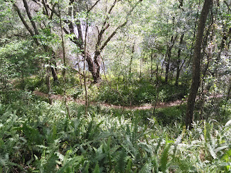 Saddle Creek Park trails Entry