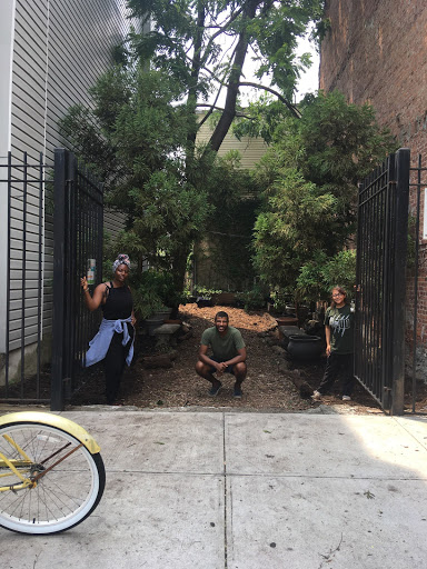 Hendrix Street Community Garden image 2