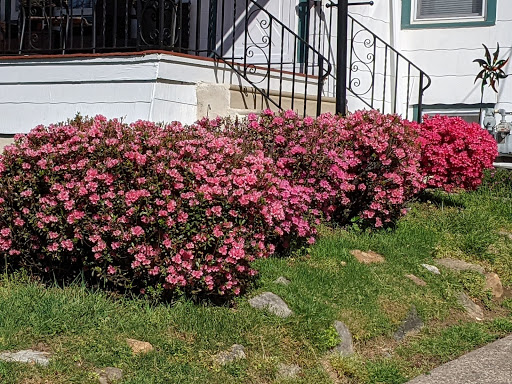 Shopping Mall «Bond Shopping Center», reviews and photos, 1891 S State Rd, Upper Darby, PA 19082, USA