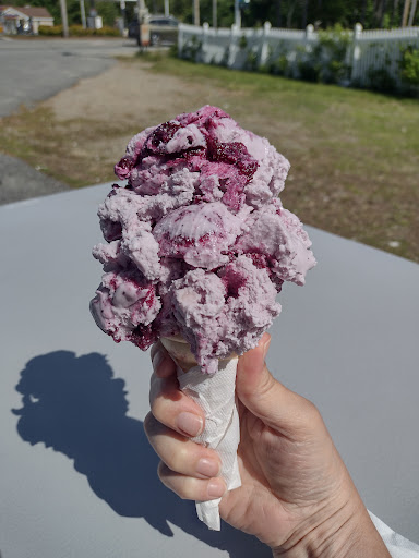 Ice Cream Shop «Blueberry Hill Dairy Bar», reviews and photos, 355 High St, Ellsworth, ME 04605, USA