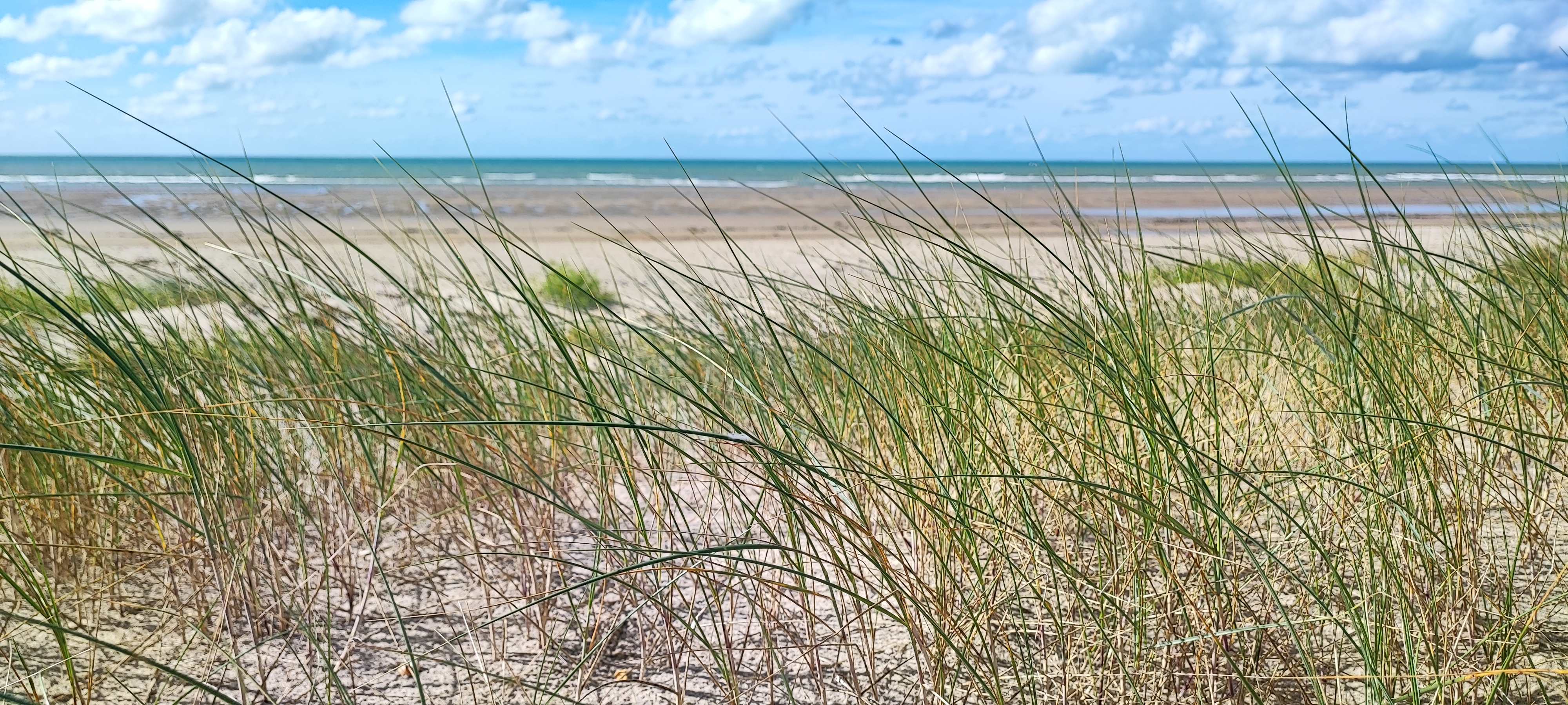 Photo n° 6 de l'avis de Laurence.A fait le 26/09/2022 à 11:14