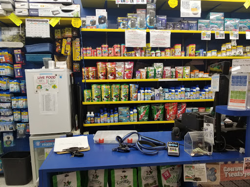 Pet Store «Petland Discounts - Willoughby», reviews and photos, 72 Willoughby St, Brooklyn, NY 11201, USA