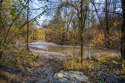 National forest Springfield