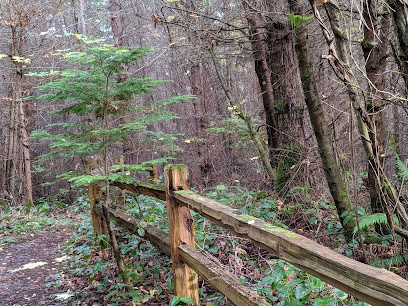 Camano Island Forest Preserve