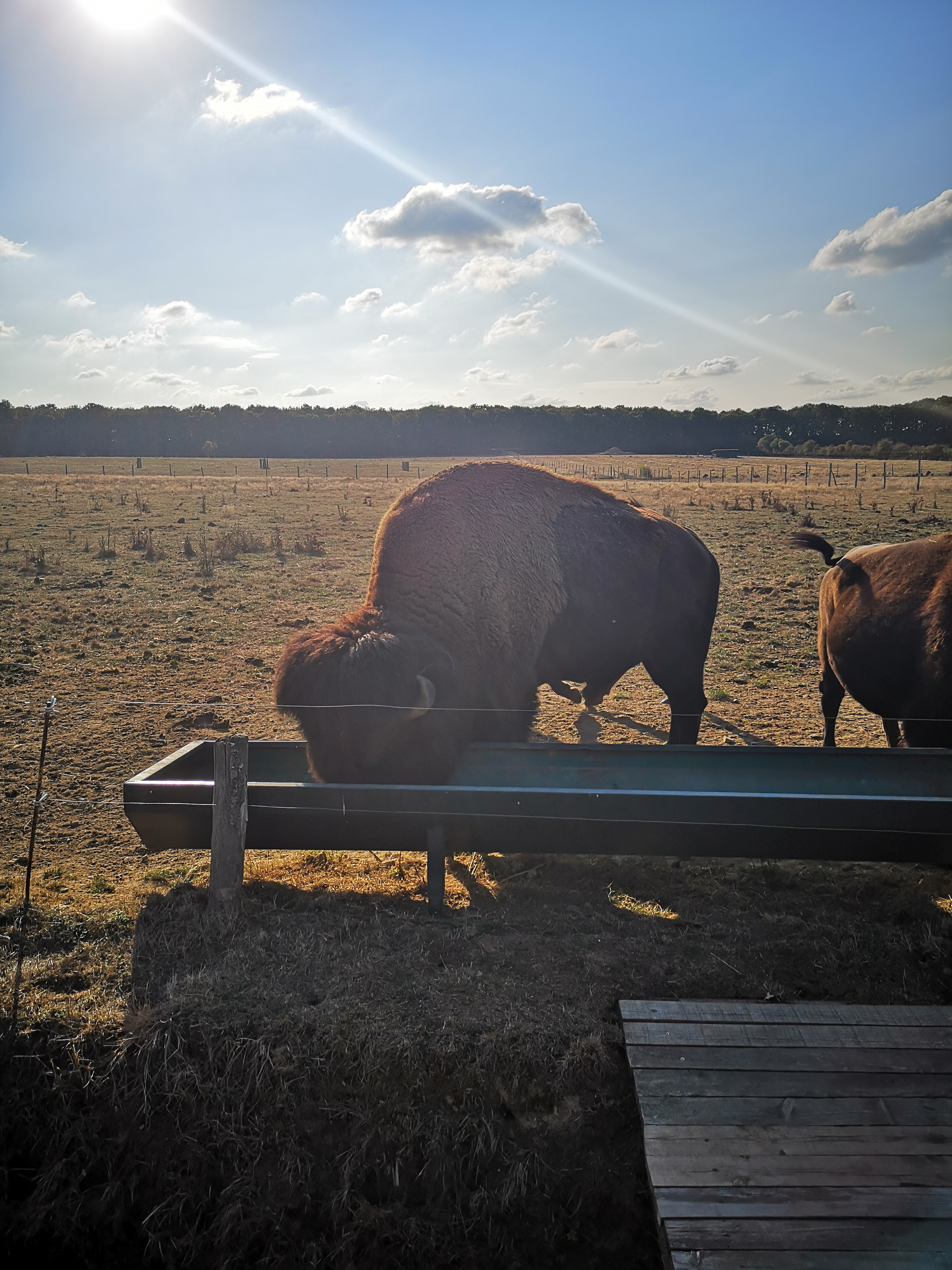 Photo n° 12 de l'avis de Gonzague.a fait le 17/10/2018 à 16:20
