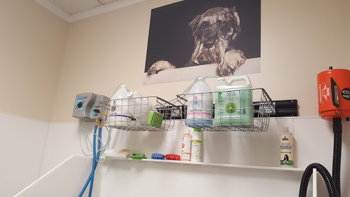 Pet Supply Store «EarthWise Pet Panama City», reviews and photos, 632 W 23rd St, Panama City, FL 32405, USA