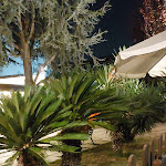 Photo n°1 de l'avis de Utente.o fait le 26/07/2022 à 17:11 sur le  Ristorante Pizzeria Da Michele Al Villino à Torre Caracciolo, Marano di Napoli