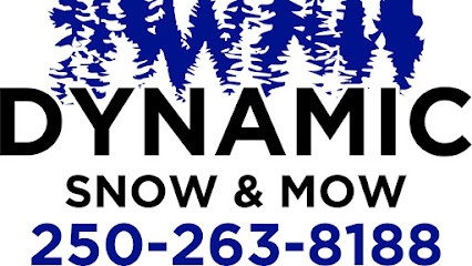 Dynamic Snow and Mow