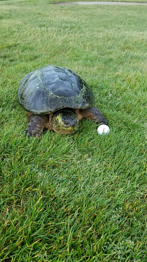 Golf Course «Sunset Valley Golf Course», reviews and photos, 47 W Sunset Rd, Pompton Plains, NJ 07444, USA