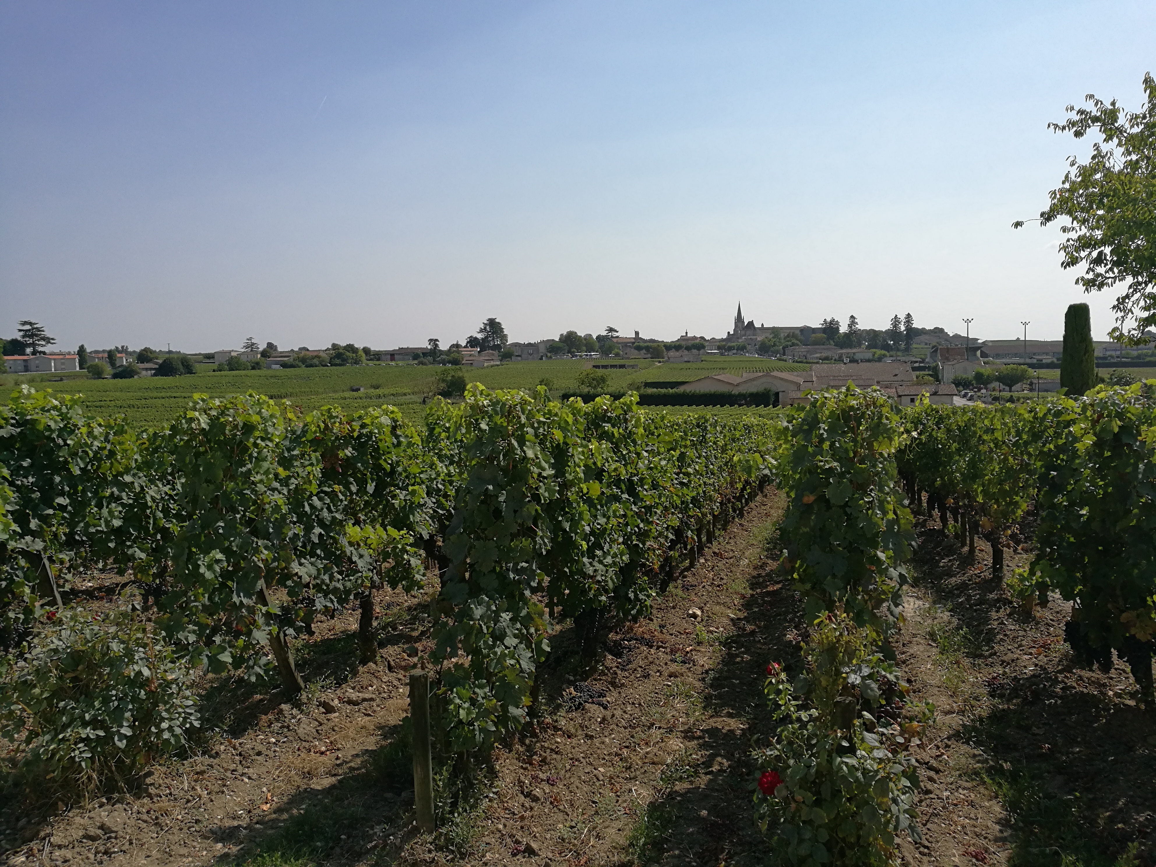 Photo n° 1 de l'avis de Isa.a fait le 20/08/2018 à 14:44