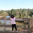 Cliffs of the Neuse State Park