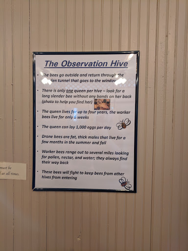 Coffee Shop «Raven’s Nest Coffee House», reviews and photos, 254 E Davis St, Culpeper, VA 22701, USA