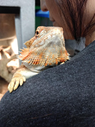 Pet Store «The Pet Shop», reviews and photos, 2235 S Power Rd #107, Mesa, AZ 85209, USA