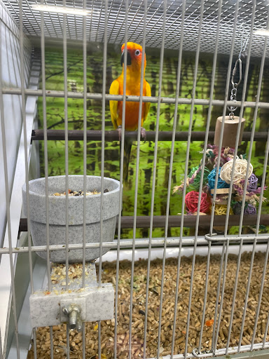 Pet Store «Carters Pet Mart», reviews and photos, 510 N Main St, Manteca, CA 95336, USA