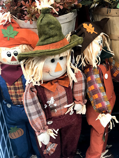 Craft Store «Michaels», reviews and photos, 37 White St, Cambridge, MA 02140, USA