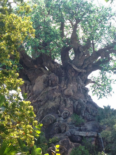 Travel Agency «Travel With The Hopper», reviews and photos, 7828 Village Green Dr, Avon, IN 46123, USA