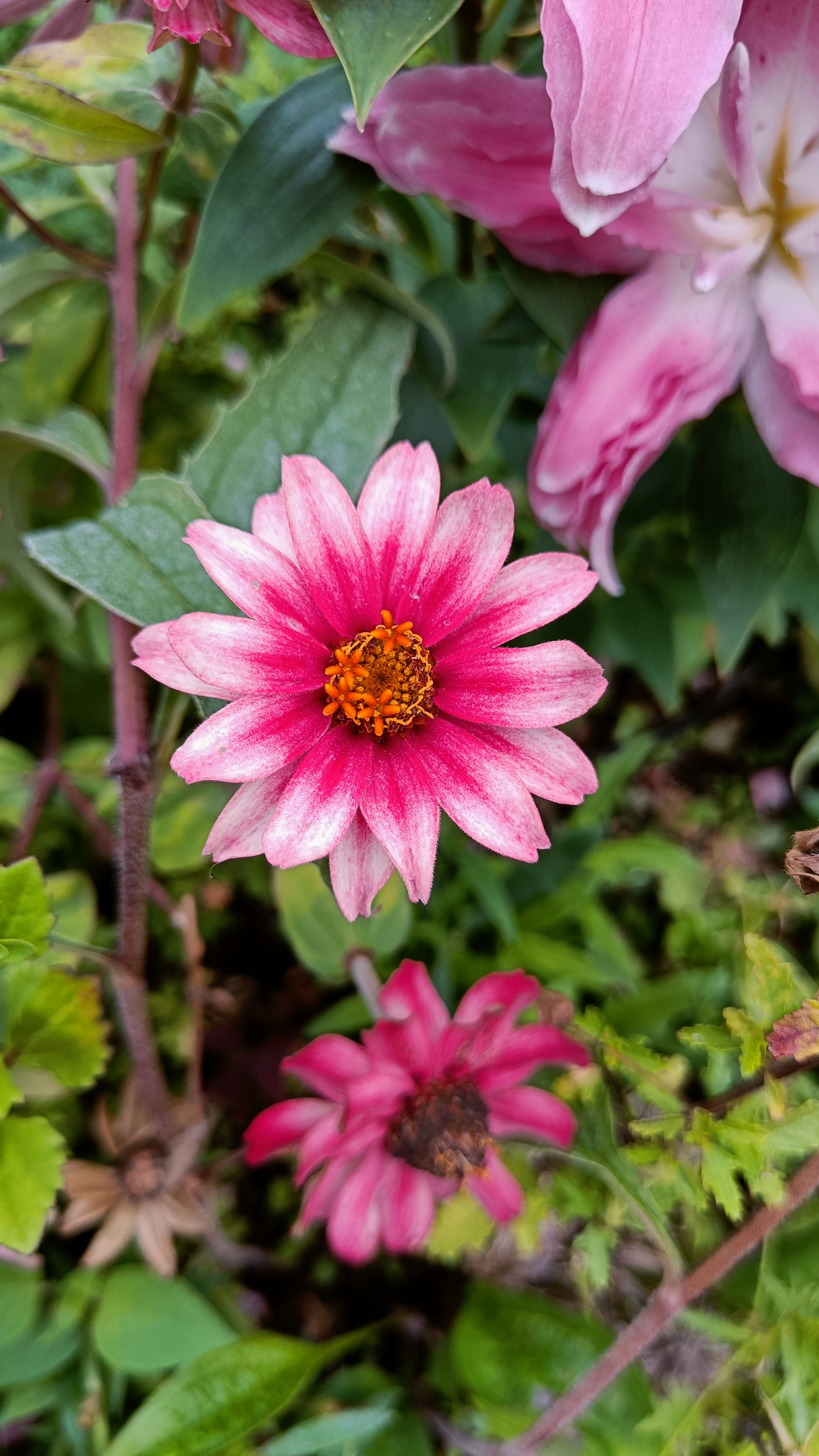 Photo n° 49 de l'avis de Eliot.o fait le 28/07/2023 à 16:35