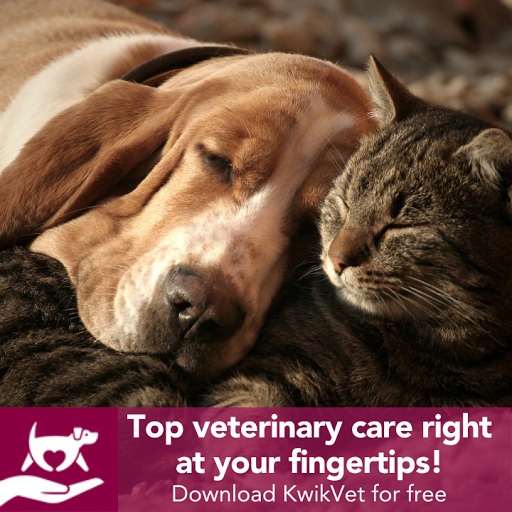 KwikVet - 24 hour veterinarians