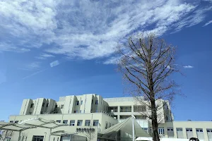 Kanoiwa General Hospital image