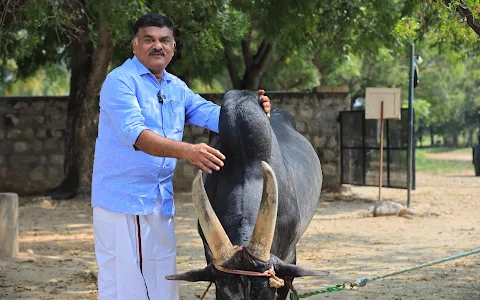 Senaapathy Kangayam Cattle Research Foundation image
