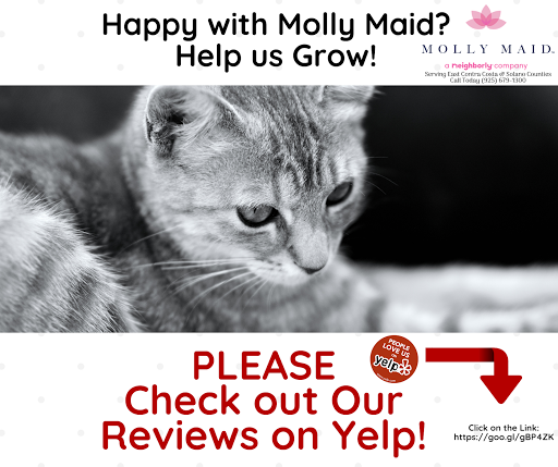 House Cleaning Service «MOLLY MAID of East Contra Costa and Solano Counties», reviews and photos, 2400 Sycamore Dr #21, Antioch, CA 94509, USA