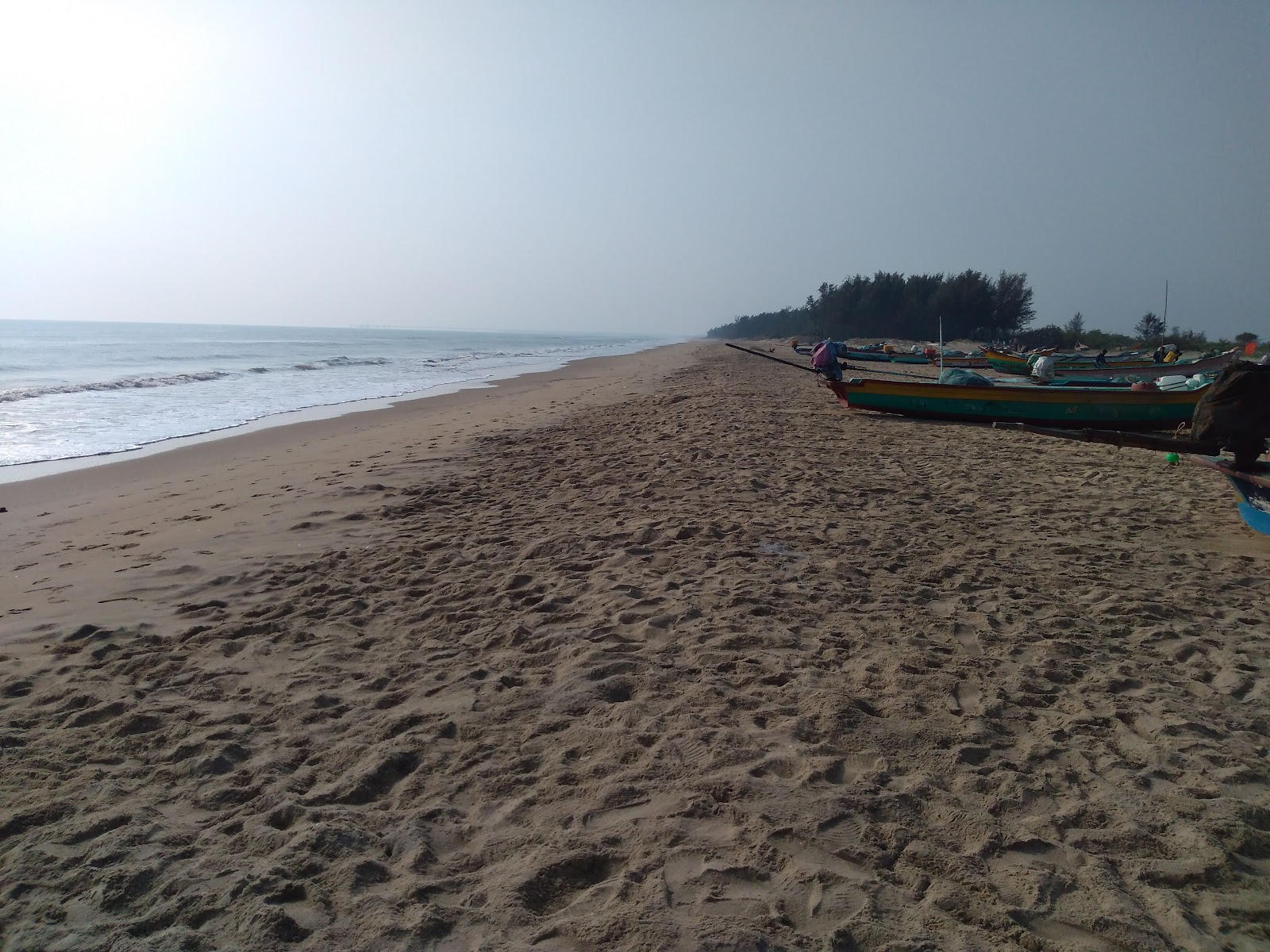 Zdjęcie Pattinacherry Beach dziki obszar