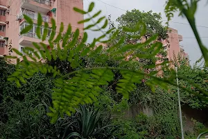 Kaveri Apartment Alaknanda, New Delhi image