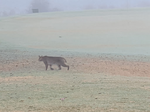 Public Golf Course «Eglin Golf Course», reviews and photos, 1527 Fairway Dr, Niceville, FL 32578, USA