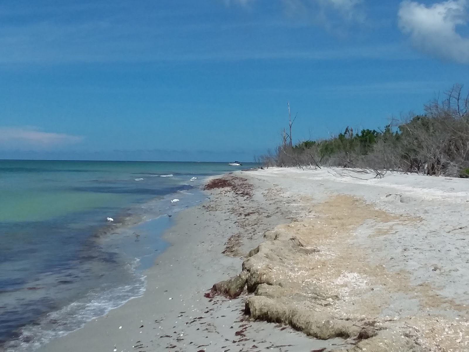 Foto de Silver Key beach com água turquesa superfície