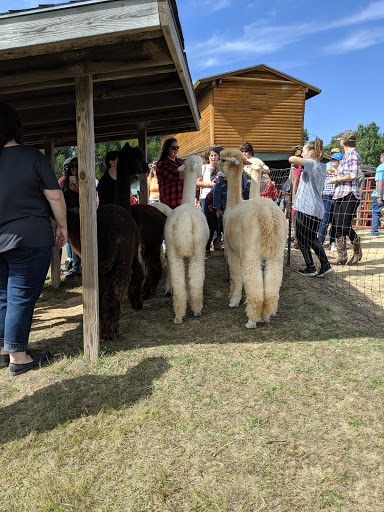 Boutique «Alpacas of the Heartland LLC», reviews and photos, 7016 County Rd 39, Fort Calhoun, NE 68023, USA