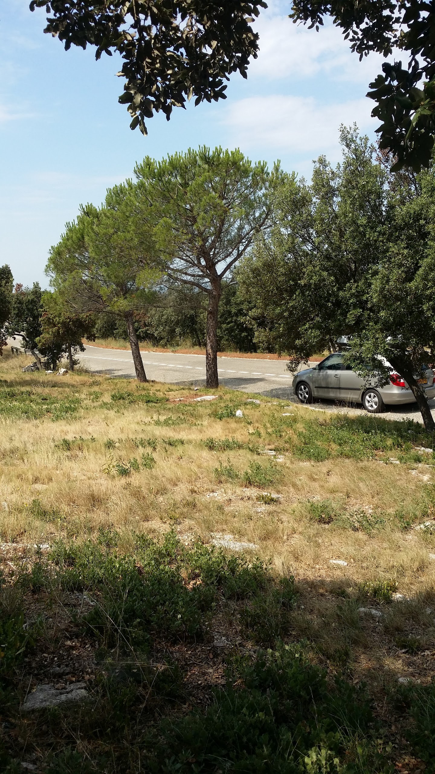Photo n° 2 de l'avis de Rene.e fait le 30/07/2016 à 10:04