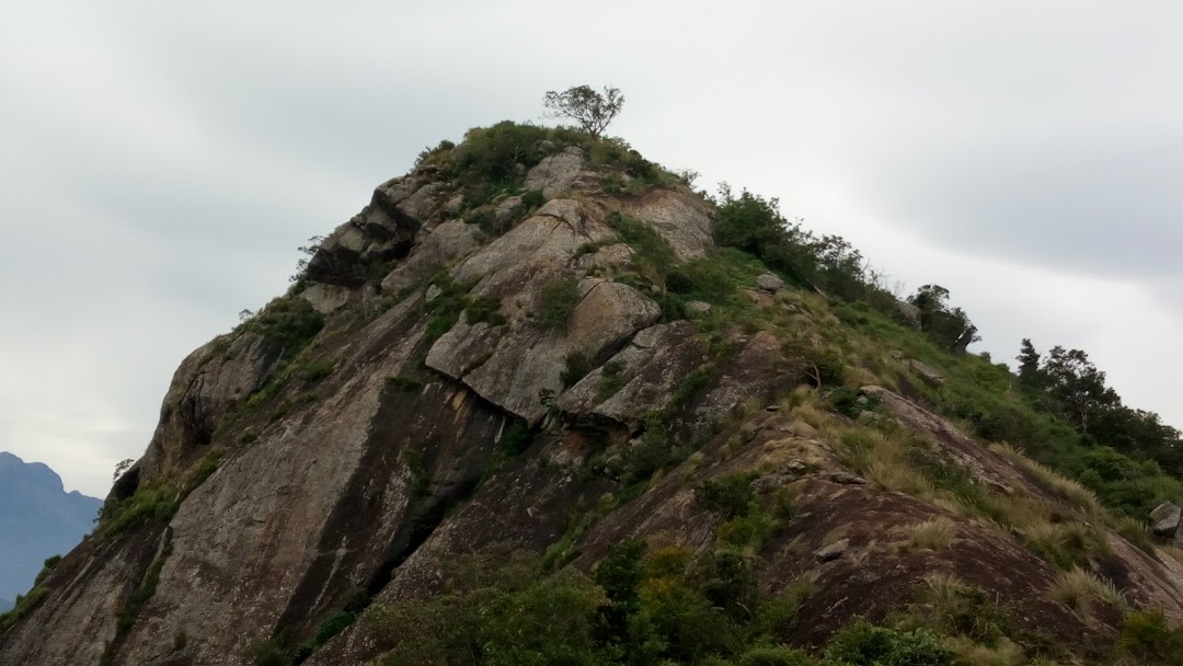 SRI BIKS FEEDS (STAR MALIGAI )