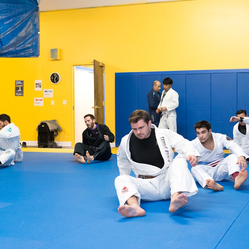 Brazil Academy - Brazilian Jiu Jitsu School
