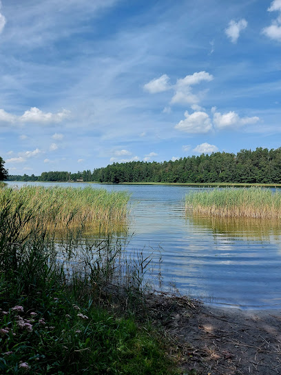 Paisetės stovyklavietė