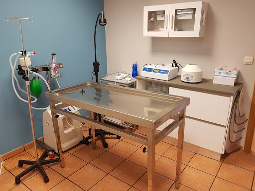 Centro Veterinario Guísamo en Guísamo