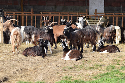 La Ferme étoilée à Espaon