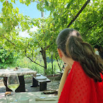 Photo n°9 de l'avis de Samuele. fait le 27/07/2023 à 12:19 sur le  Ristorante La Casina à Drena