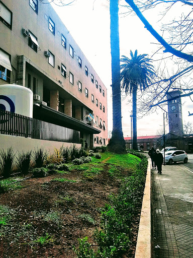 Medicos Neurocirugía Rosario