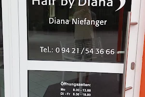 Care for Hair by Diana image