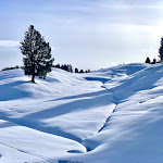 Photo n°1 de l'avis de Julia.e fait le 21/01/2023 à 11:38 sur le  Berghotel Piné à Tiers