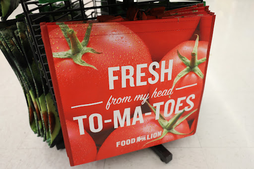 Grocery Store «Food Lion», reviews and photos, 5021 Trotwood Ave Ste 7, Columbia, TN 38401, USA