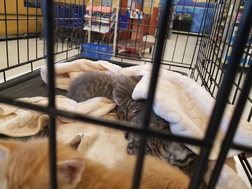 Pet Supply Store «PetSmart», reviews and photos, 1321 W Craig Rd, North Las Vegas, NV 89032, USA