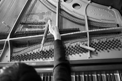 Théodore Sintot - Accordeur & Réparateur de Pianos à Arbois