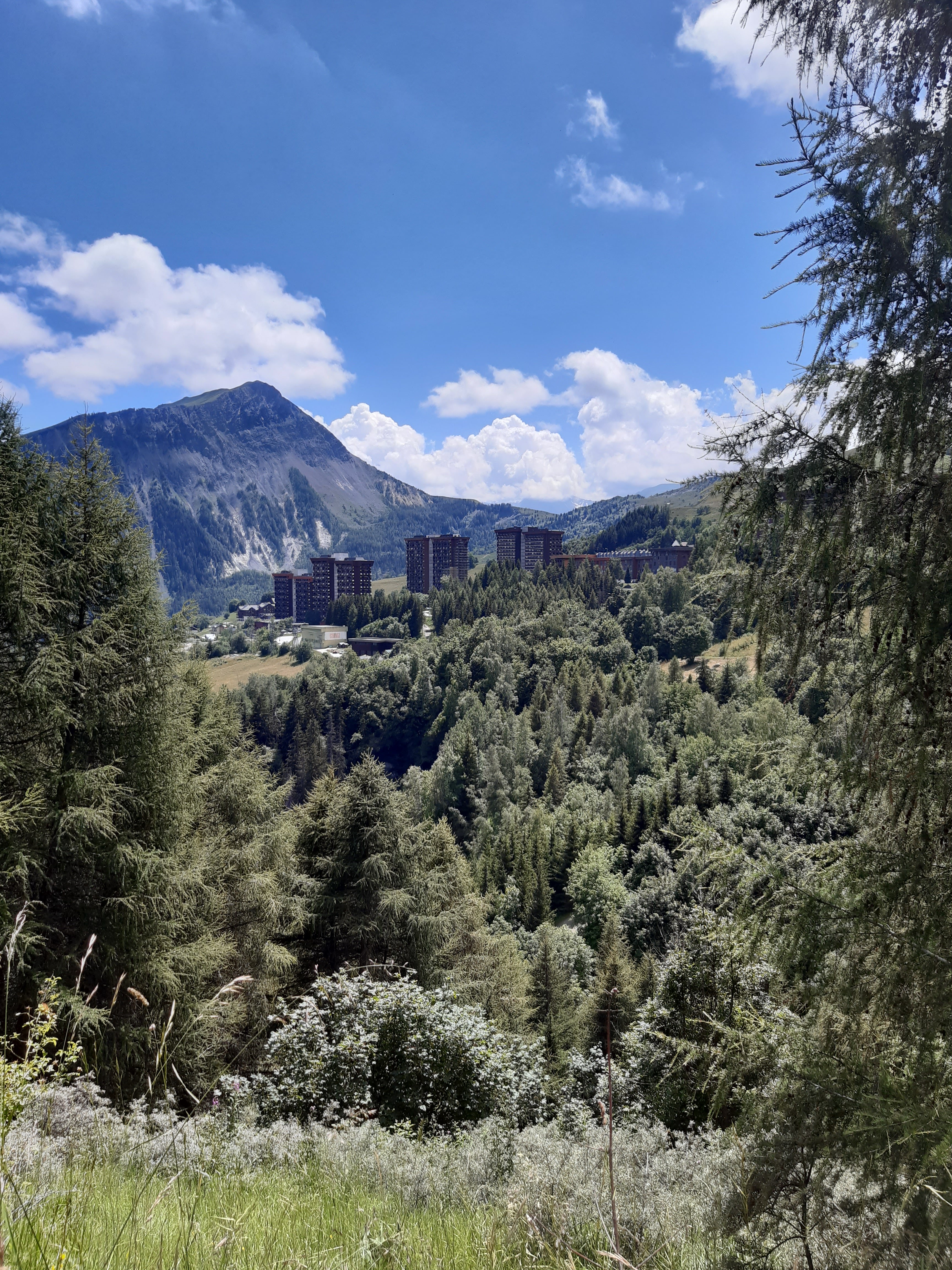 Photo n° 5 de l'avis de Matt.t fait le 19/07/2020 à 13:33