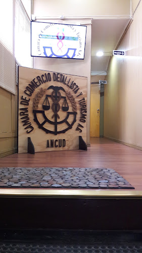 Opiniones de Cámara de Comercio Detallista y Turismo de Ancud A.G. en Ancud - Asociación